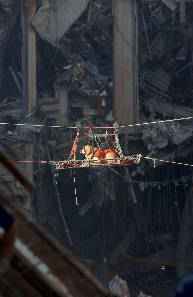 Founding Member Of NYPD’s Canine Unit Talks Handling Working Dogs At Ground Zero In 9/11 Aftermath